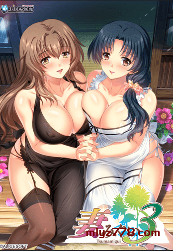 A社神作 妻中蜜（1-3 合集+特典） 完整中文汉化版 全CG档+攻略+第三部CG+动画